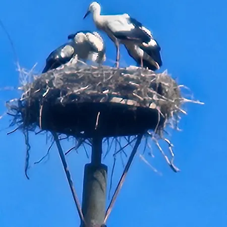 10 Walnuss - Hof Wiesengrund Apartamento Parchtitz