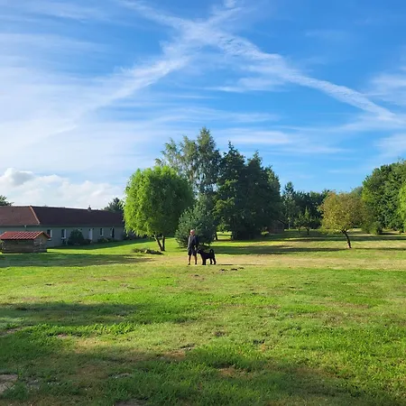 10 Walnuss - Hof Wiesengrund